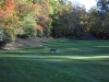 2010-df-mem-golf-tourn-161-small