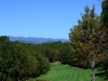 DSC_0034 (1)