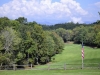 DSC_0006 (2)