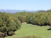 Perfect Clear Fall Day for 6th Annual Daniel Tourney